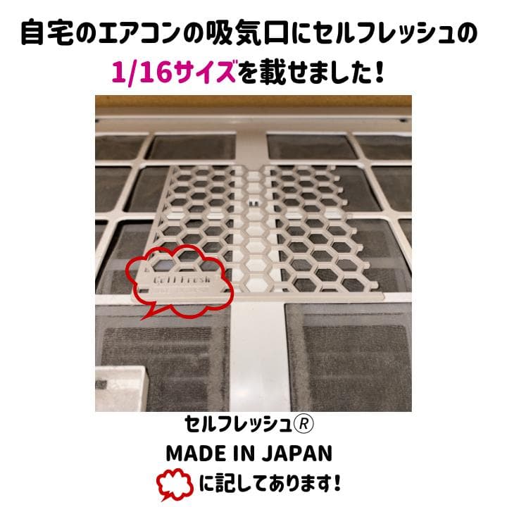 株式会社メンテックカンザイ セルフレッシュネット テラヘルツ波