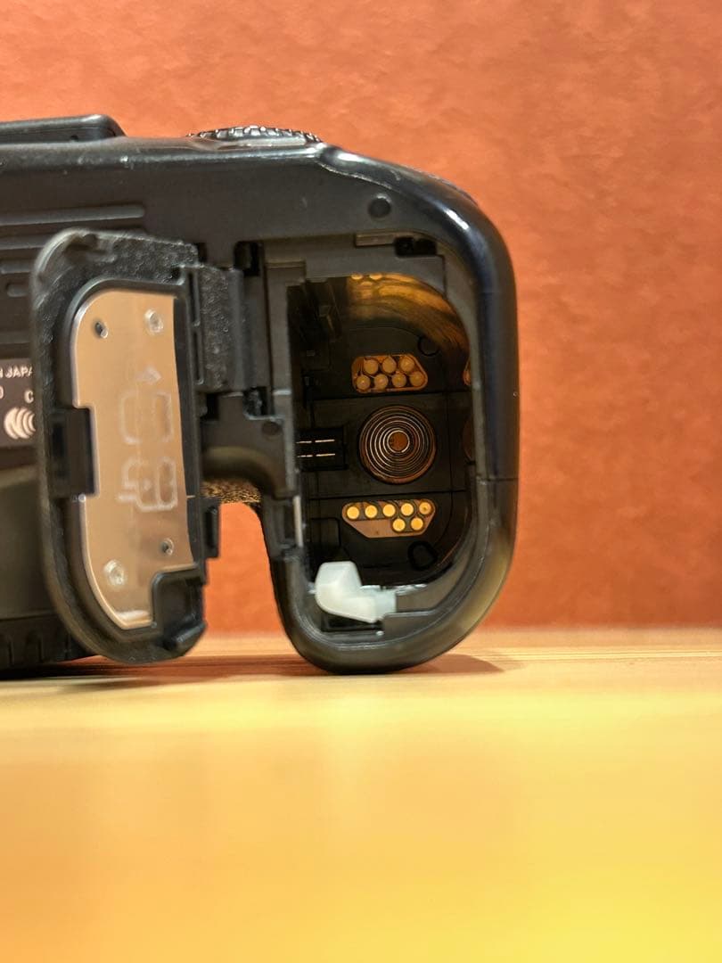 Canon EOS80d ボディ本体　おまけ本付き