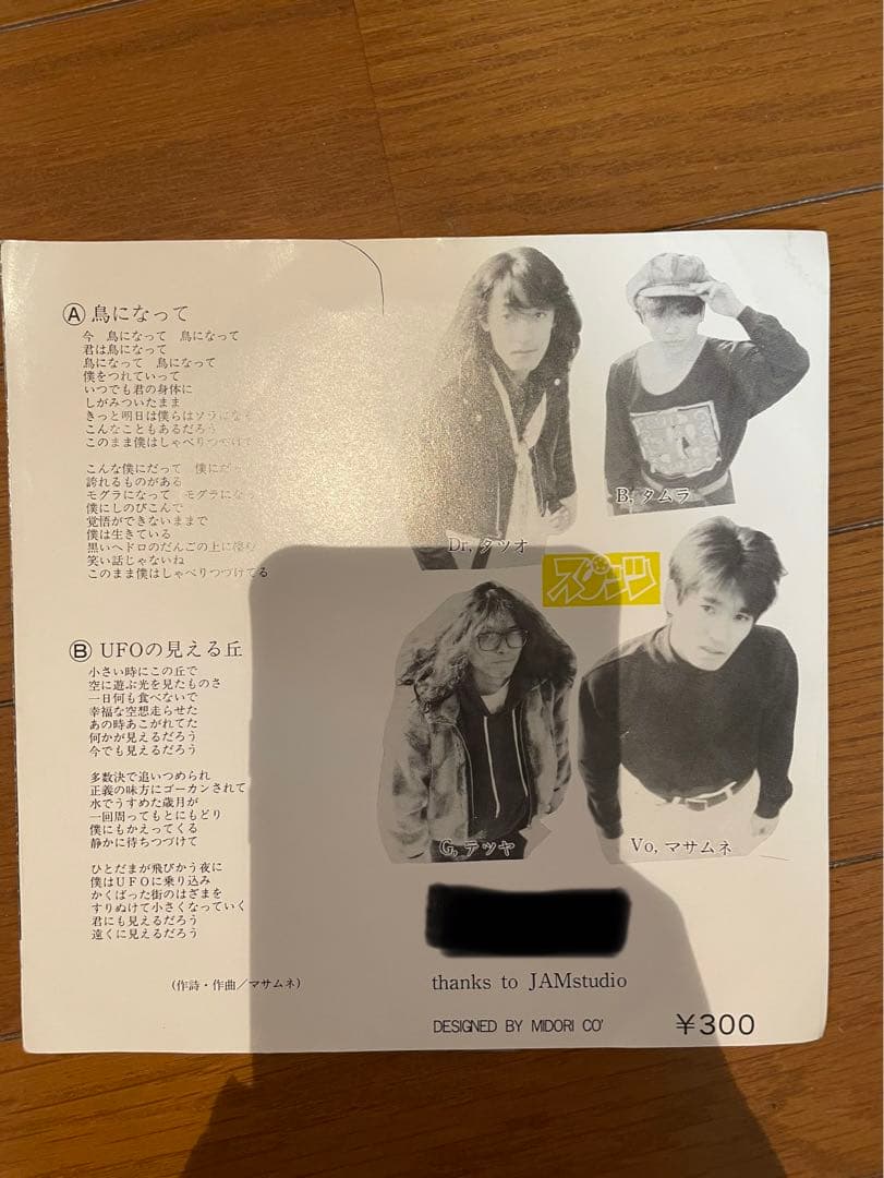 【スピッツ】鳥になって　UFOの見える丘　ソノシート　レコード