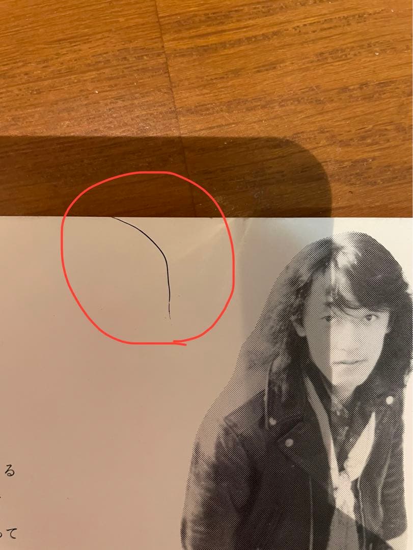 【スピッツ】鳥になって　UFOの見える丘　ソノシート　レコード