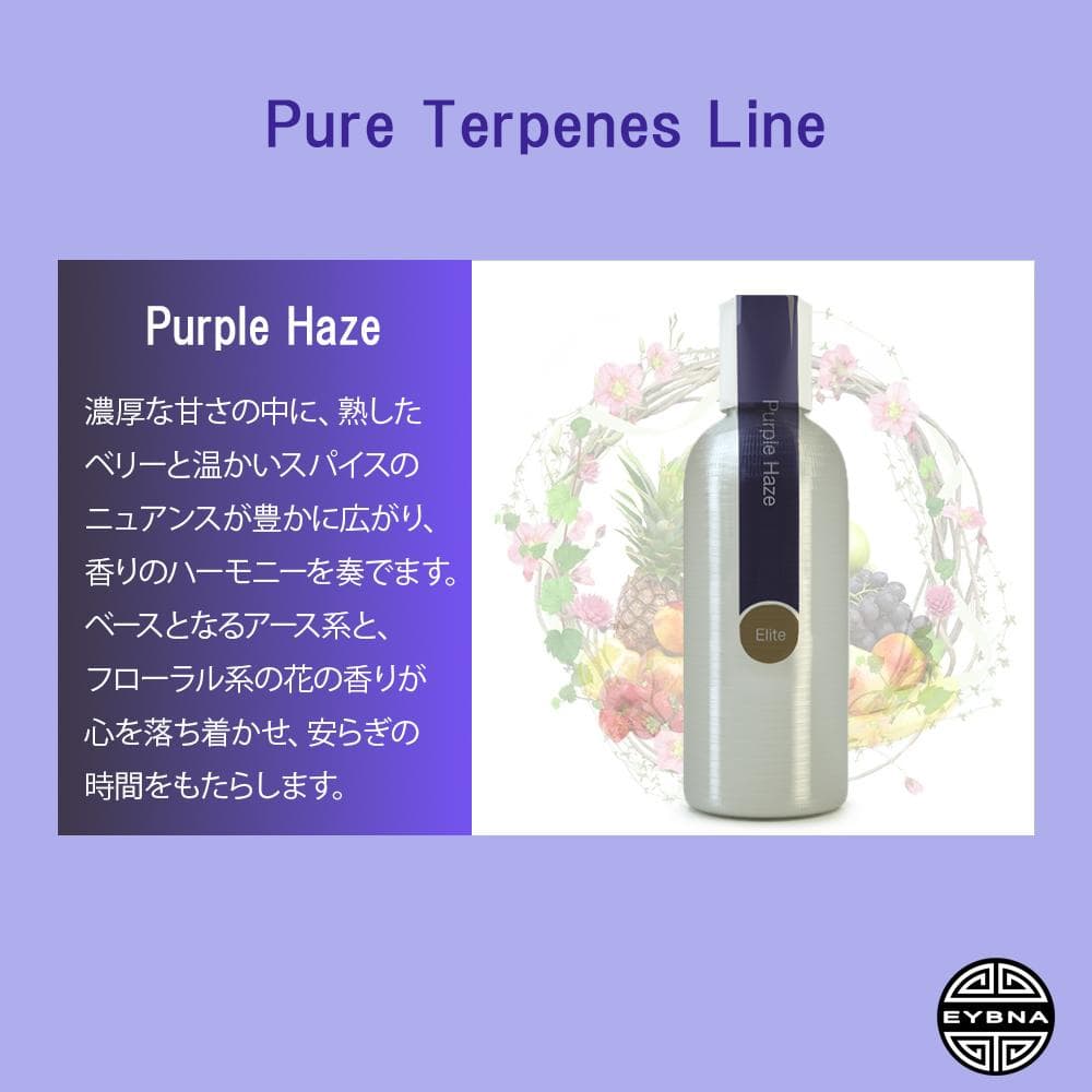 Eybna テルペン 510 CBD CBN CBG 10ml パープルヘイズ