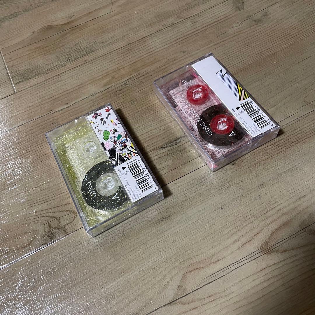 (初回盤カラー)銀杏BOYZ 恋愛革命 DOOR カセットテープ 江口寿史