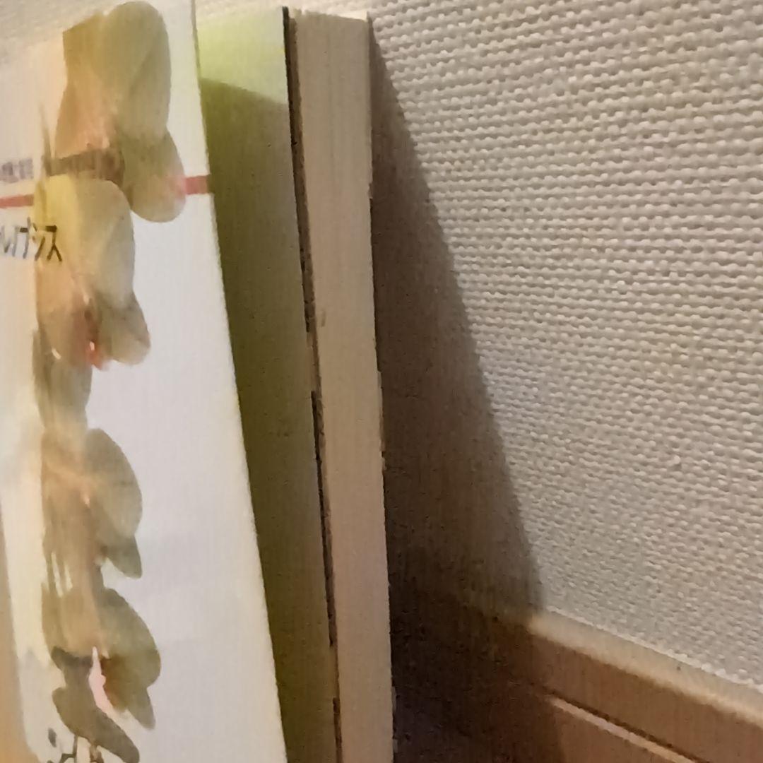 【レア】ファレノプシス （花専科・育種と栽培） 市橋正一／編著
