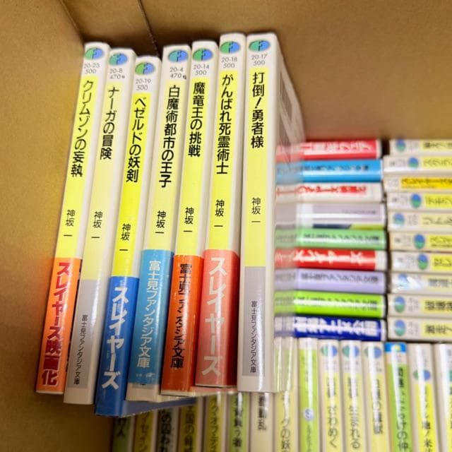 【まとめ売り】神坂一 文庫 79冊 スレイヤーズ シリーズ 地底王国の脅威 他
