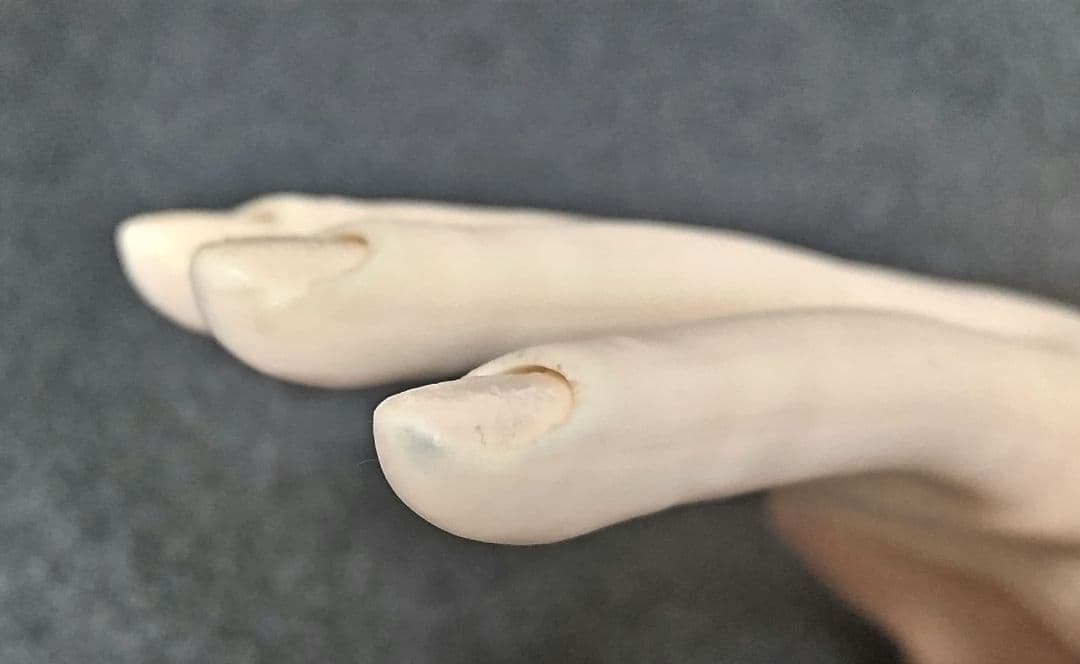 JNEC認定モデルハンド　ネイリスト技能検定