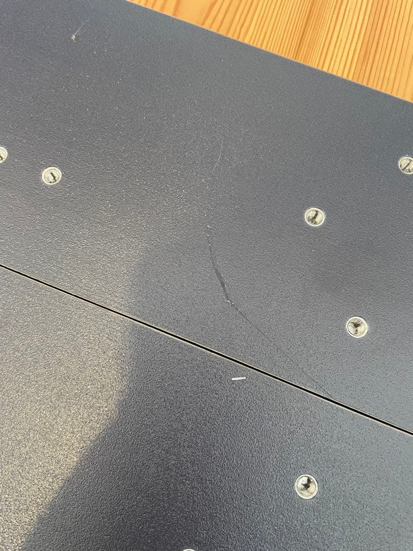 スノーボード gentemstick giantmantaray chopsticks