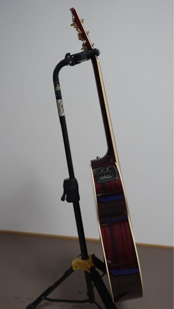 ギター Takamine DMP551C WR