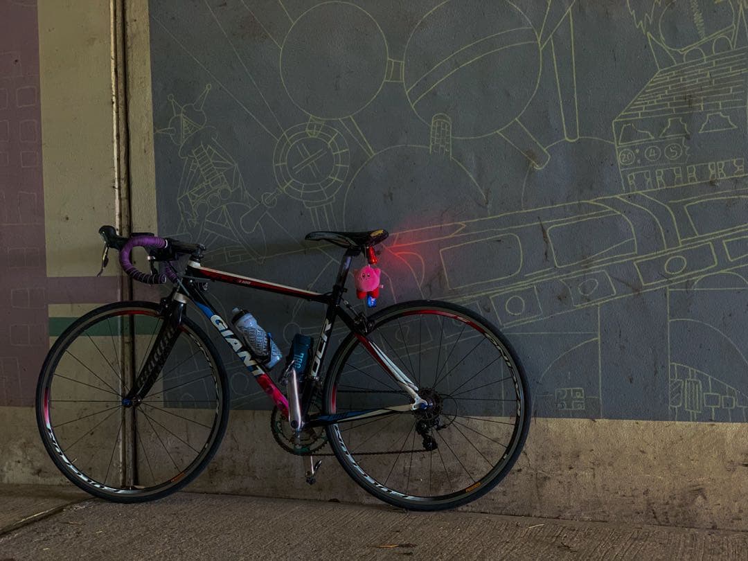 ホイール フルクラム レーシング5