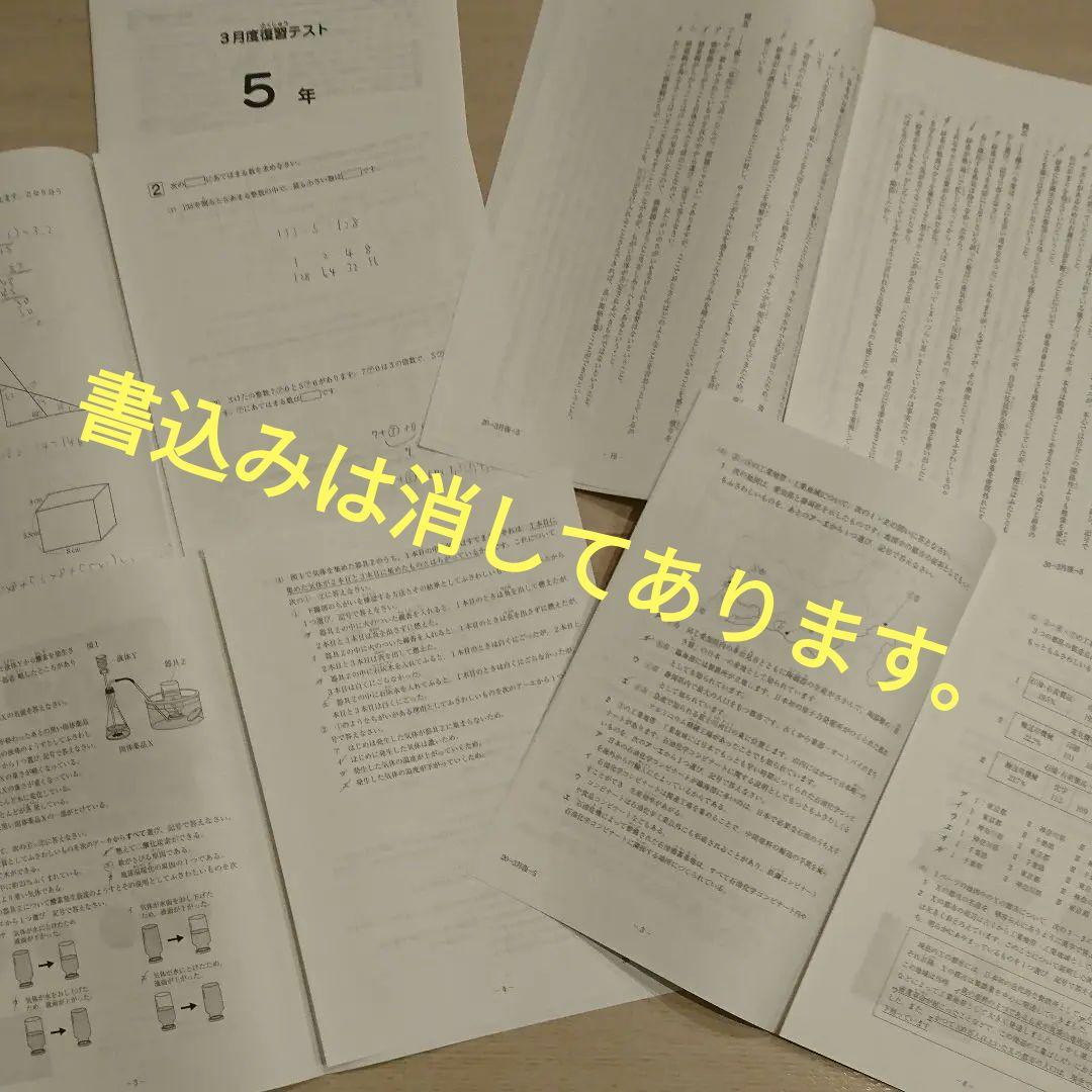サピックス 5年 全12回テストセット 模試 入室テスト 組分け マンスリー復習