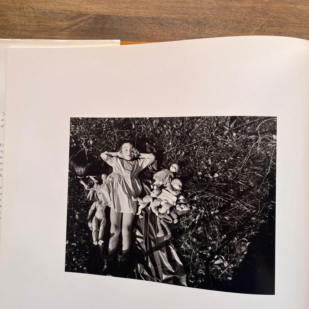 エメット・ゴーウィン　Emmet Gowin Photographs