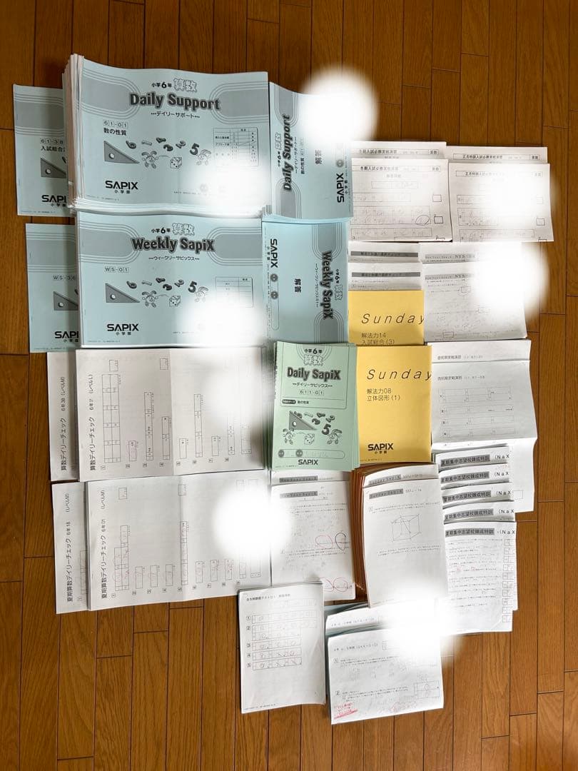 2024年度　SAPIX 6年 最新版 全部セット