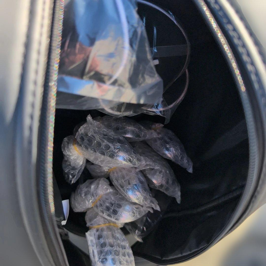 新品未使用 ゴルフバッグクラブセット advisor RX-1 9インチ