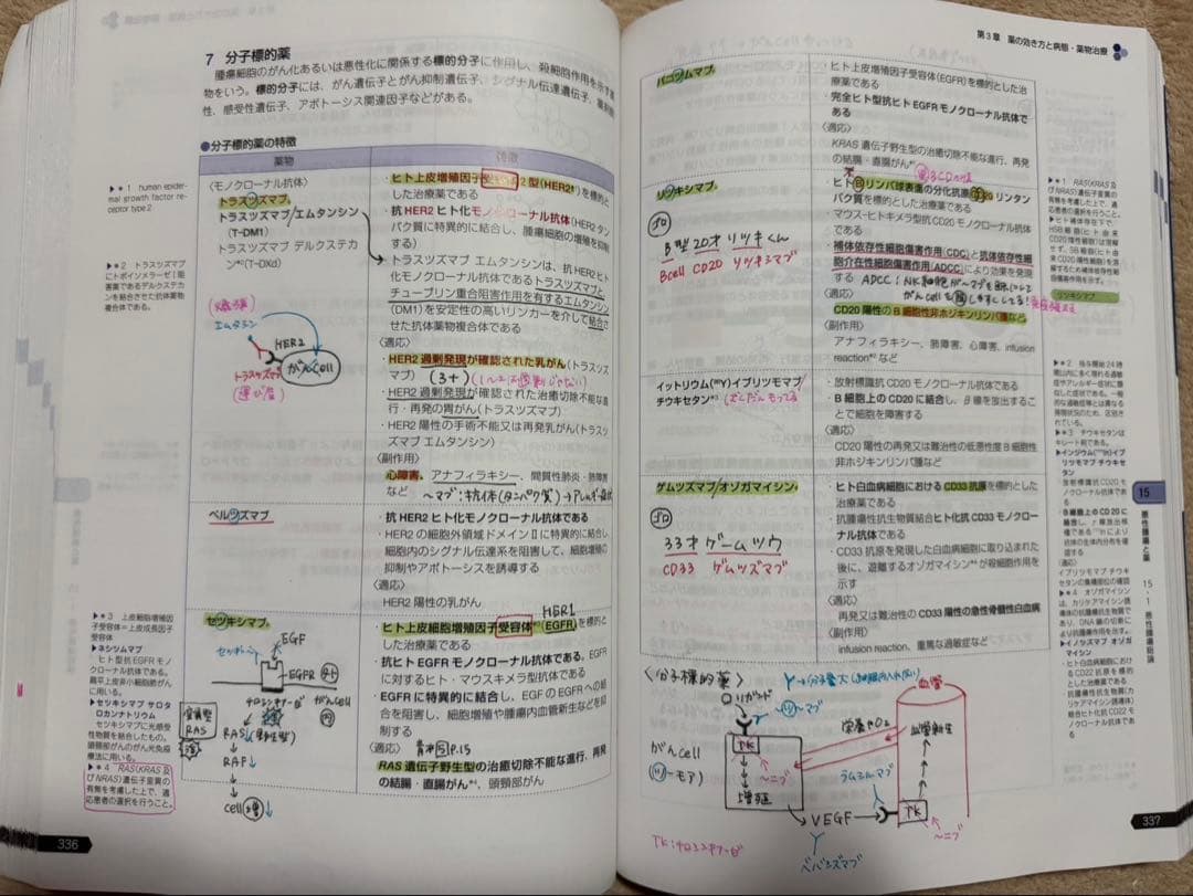 青本 薬剤師国家試験 110回