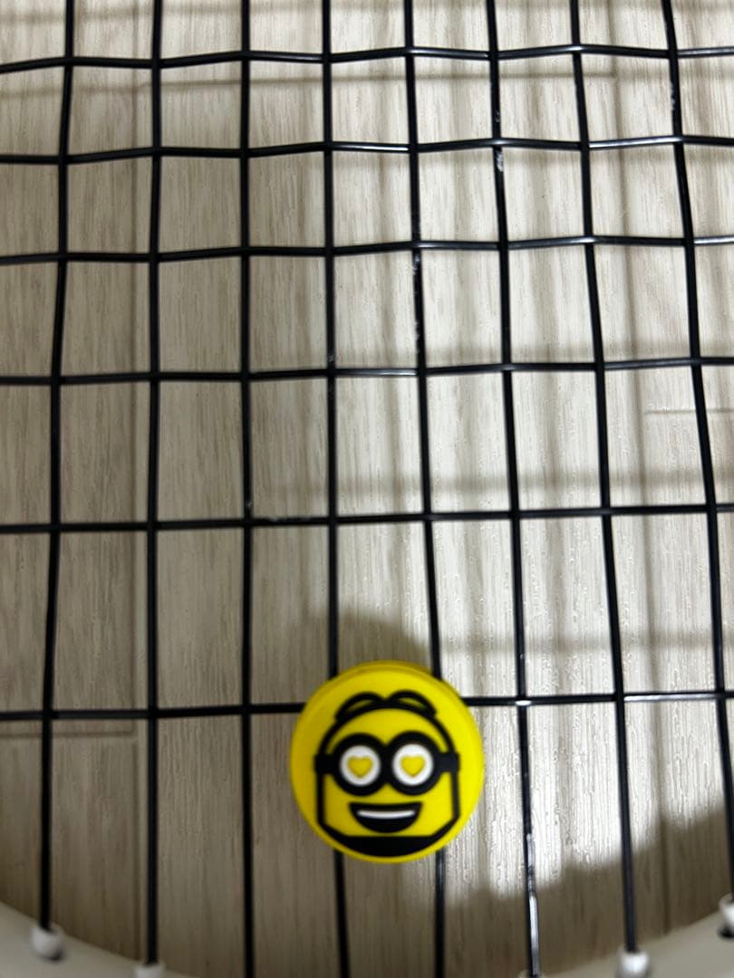 ラケット(硬式用) Tecnifibre T-FIGHT 295