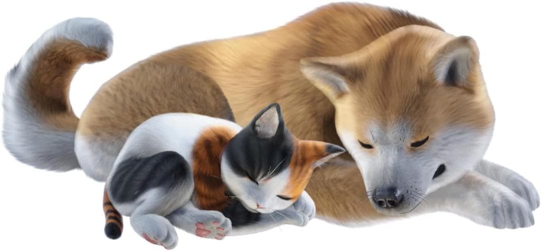 モンスターハンターライズ + サンブレイクセット Switch amazon限定