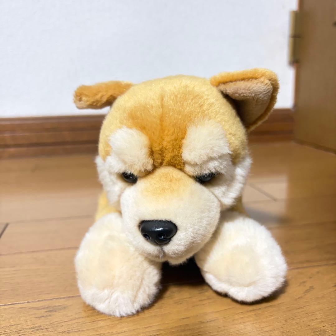 リアルドッグコレクション 柴犬 REGALO レガロ ぬいぐるみ