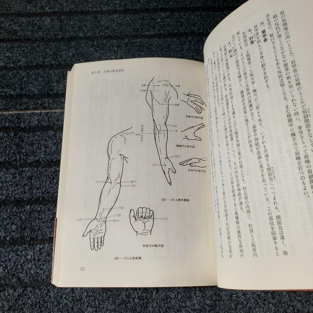 正伝実戦擒拿術 中国武術関節技のすべて