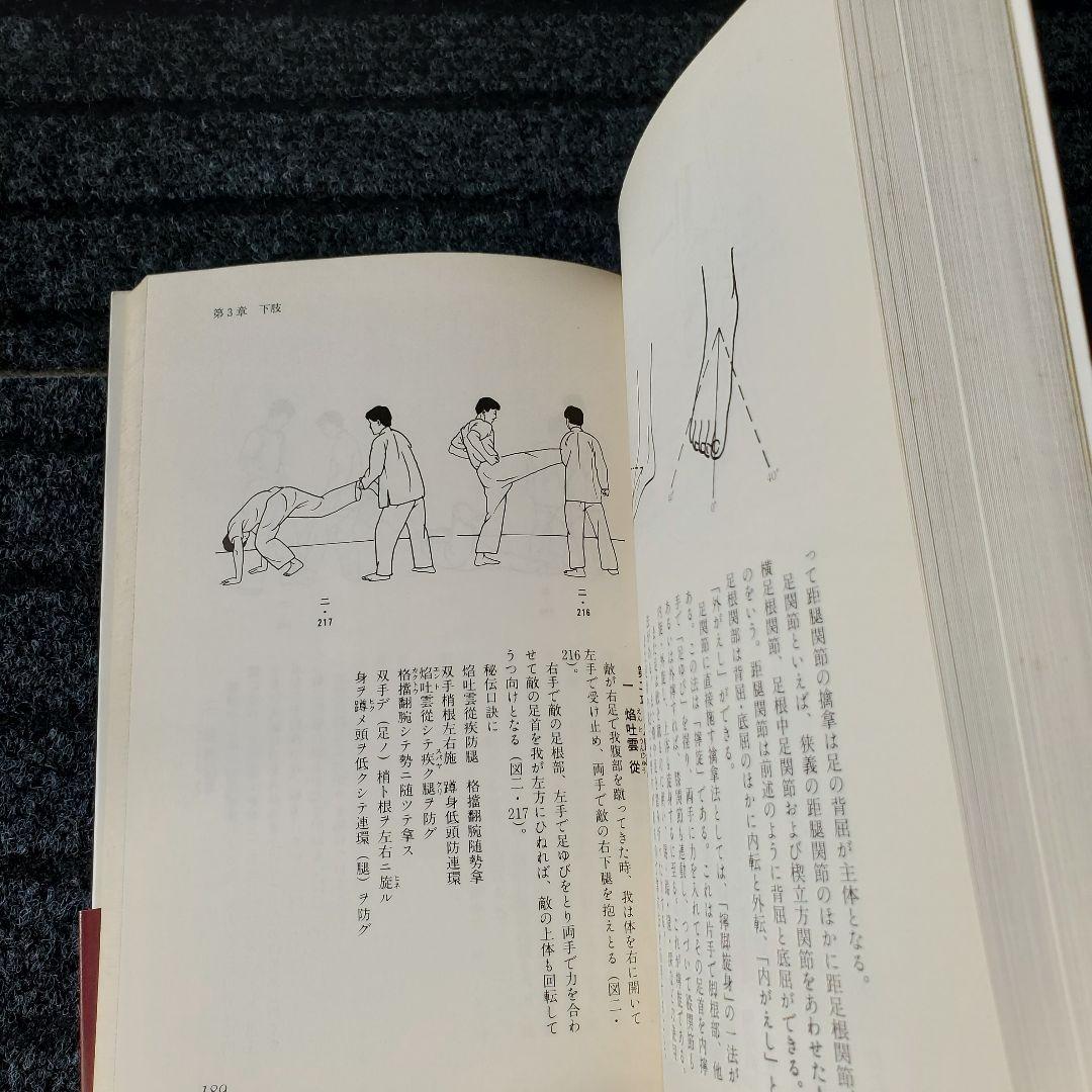 正伝実戦擒拿術 中国武術関節技のすべて