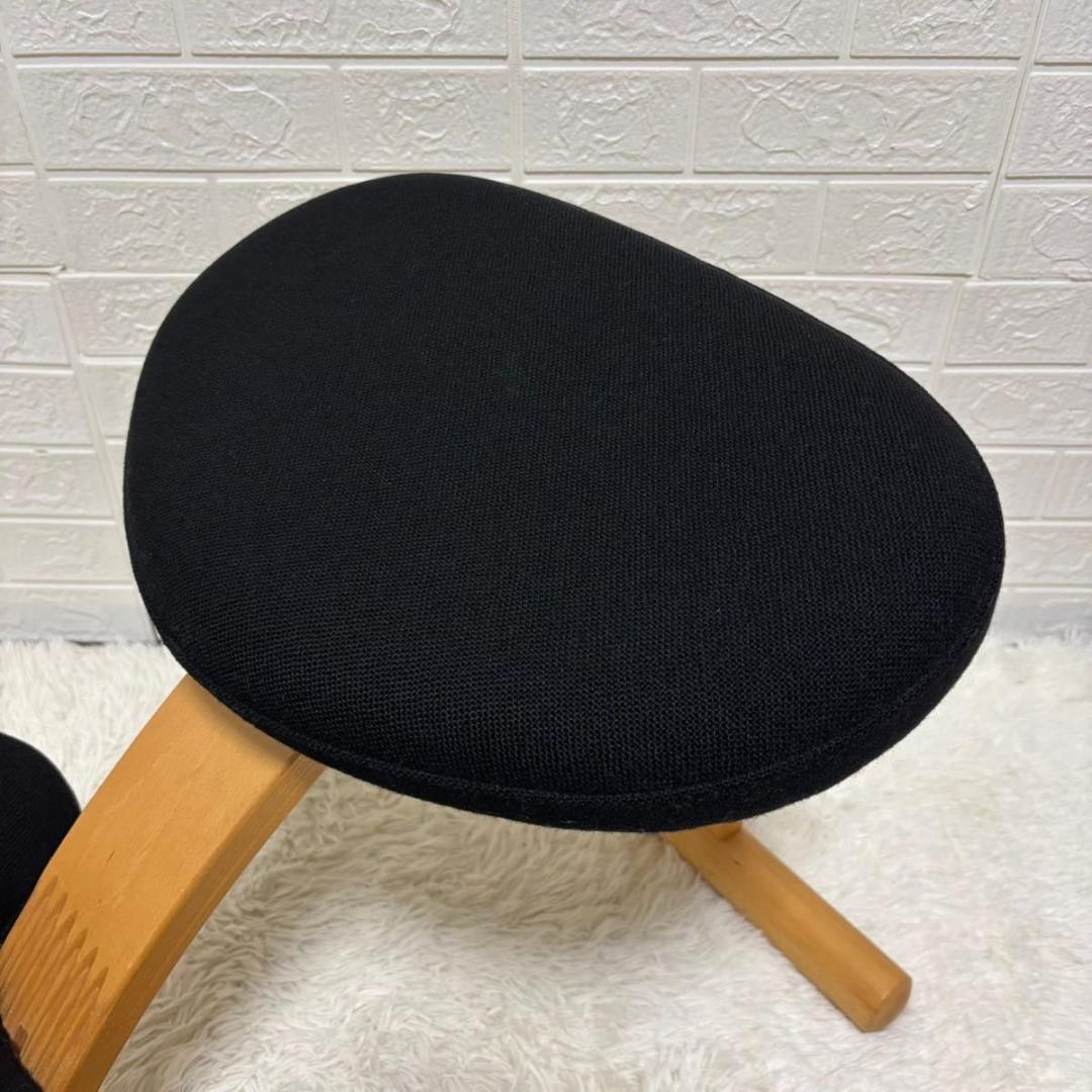 【美品】バランスチェア　イージー　リボ社　ブラック