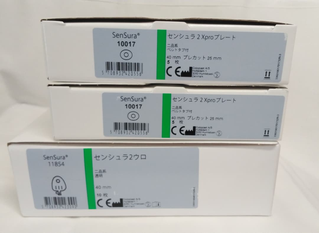 みかん　…①センシュラ２ウロ…１箱（10枚入）・プレート２箱（10枚）