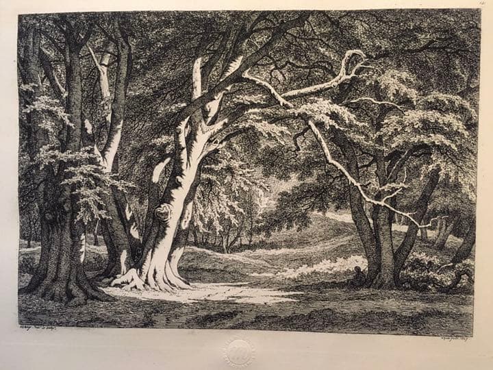 ルーブル美術館刻印あり　深森　版画