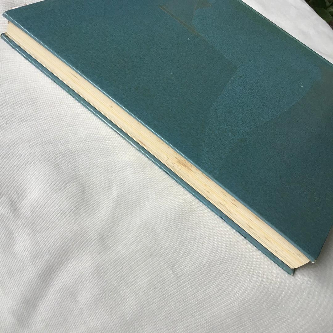 【貴重品】archigraphia グラフィック　デザイン　洋書　海外