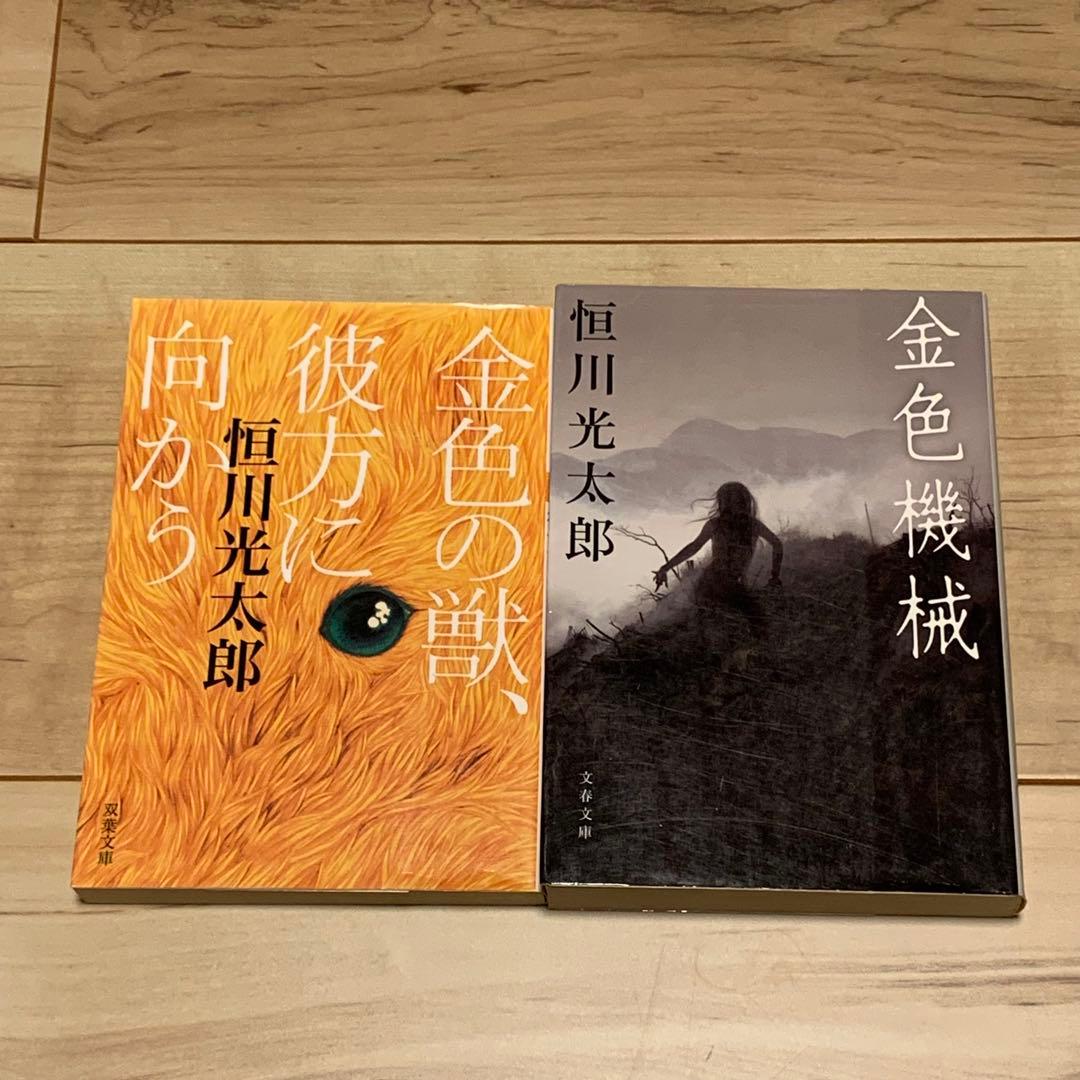 ほぼ初版 恒川光太郎 文庫 10冊set