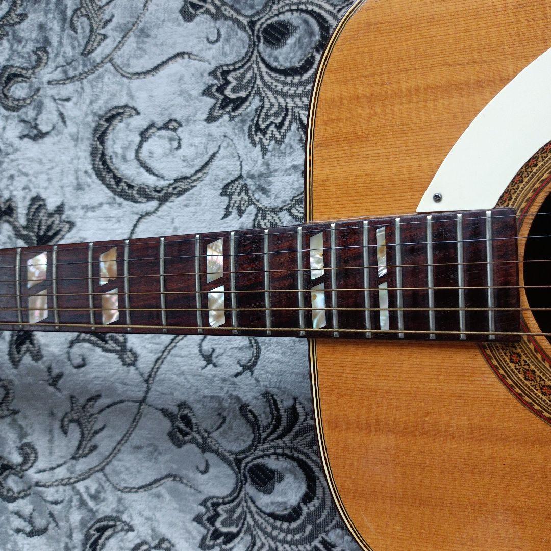 Pearlパール Epiphone TEXAN モデル 林楽器 百瀬さん レトロ