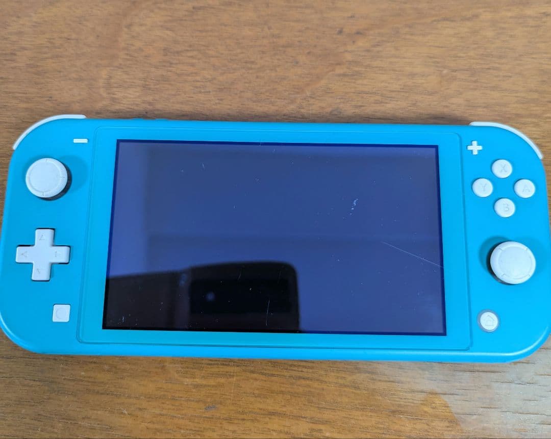 【ジャンク品】Nintendo Switch Light【本体のみ】