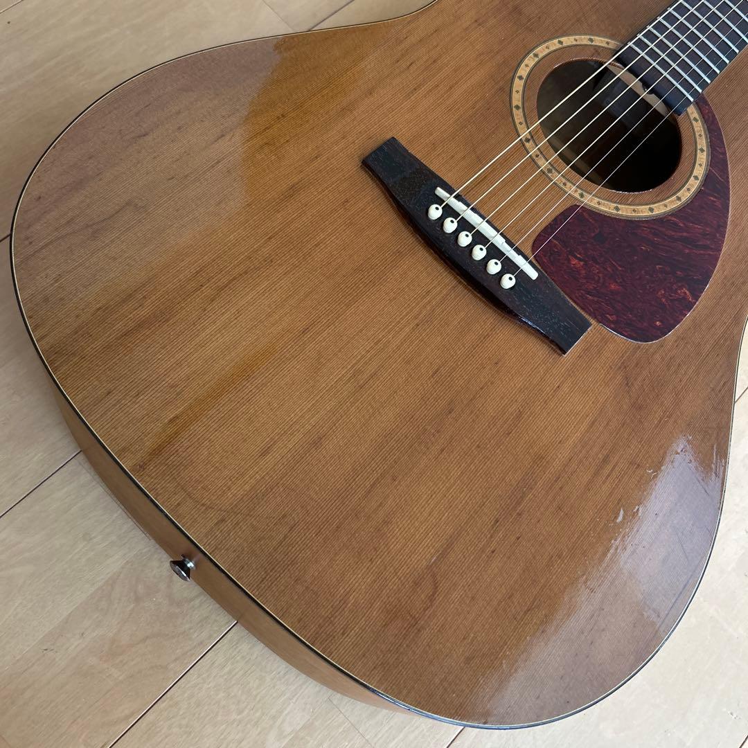 サイモン&パトリック モデル S&P6 シダー トップ単板