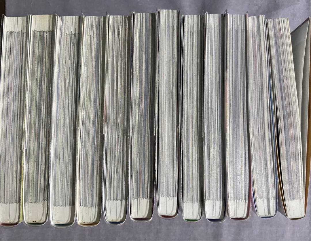 ある日、お姫様になってしまった件について 1〜12巻