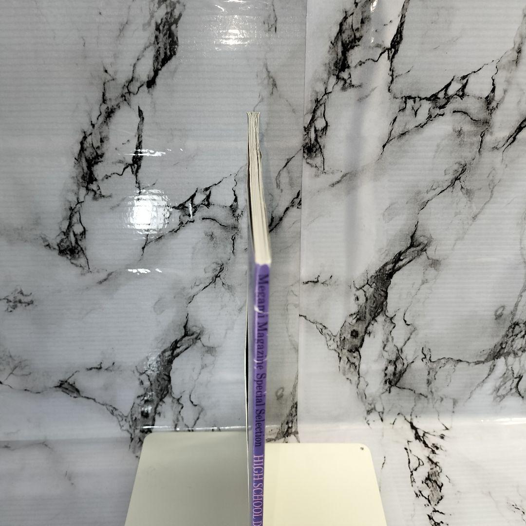 ハイスクールD×D NEW　ビジュアルコレクション 下巻　メガミマガジン