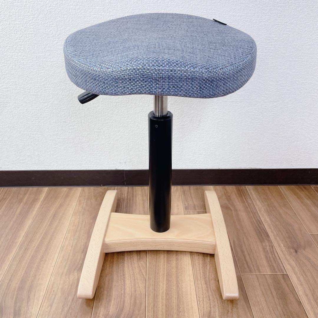 バランスラボ 旧サカモトハウス バランスシナジー ブルー ラウンドシート