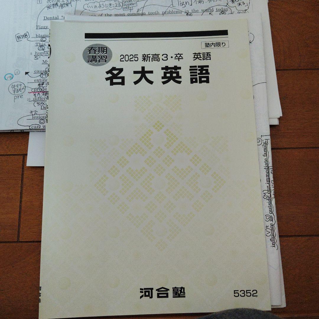 ☆kt☆名大英語/特別選抜英語【河合塾登木先生】 2025年withUSB