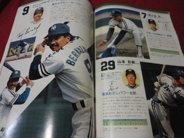 【プロ野球】南海ホークス1988ファンブック