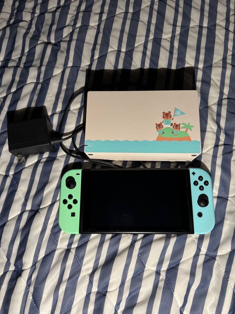 Nintendo Switch 本体 どうぶつの森 周辺機器