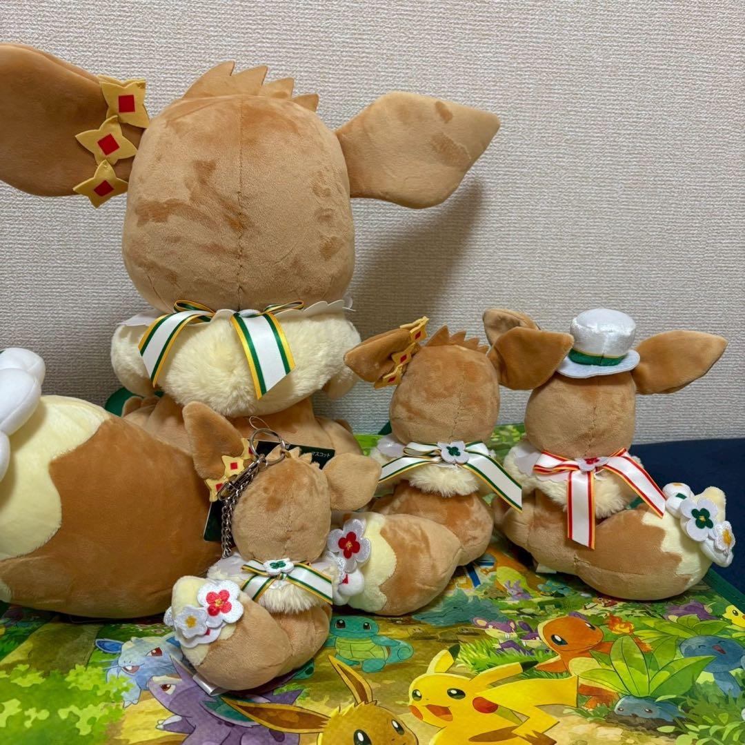 ポケパーク　カントー　限定　イーブイ