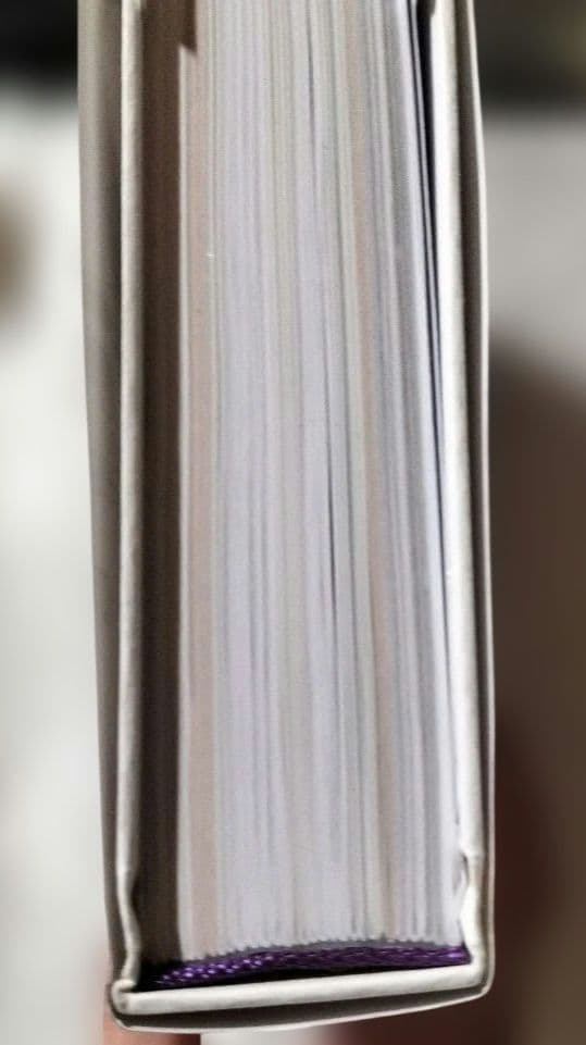 Purple Magazin　#44 analog f/w2025-26