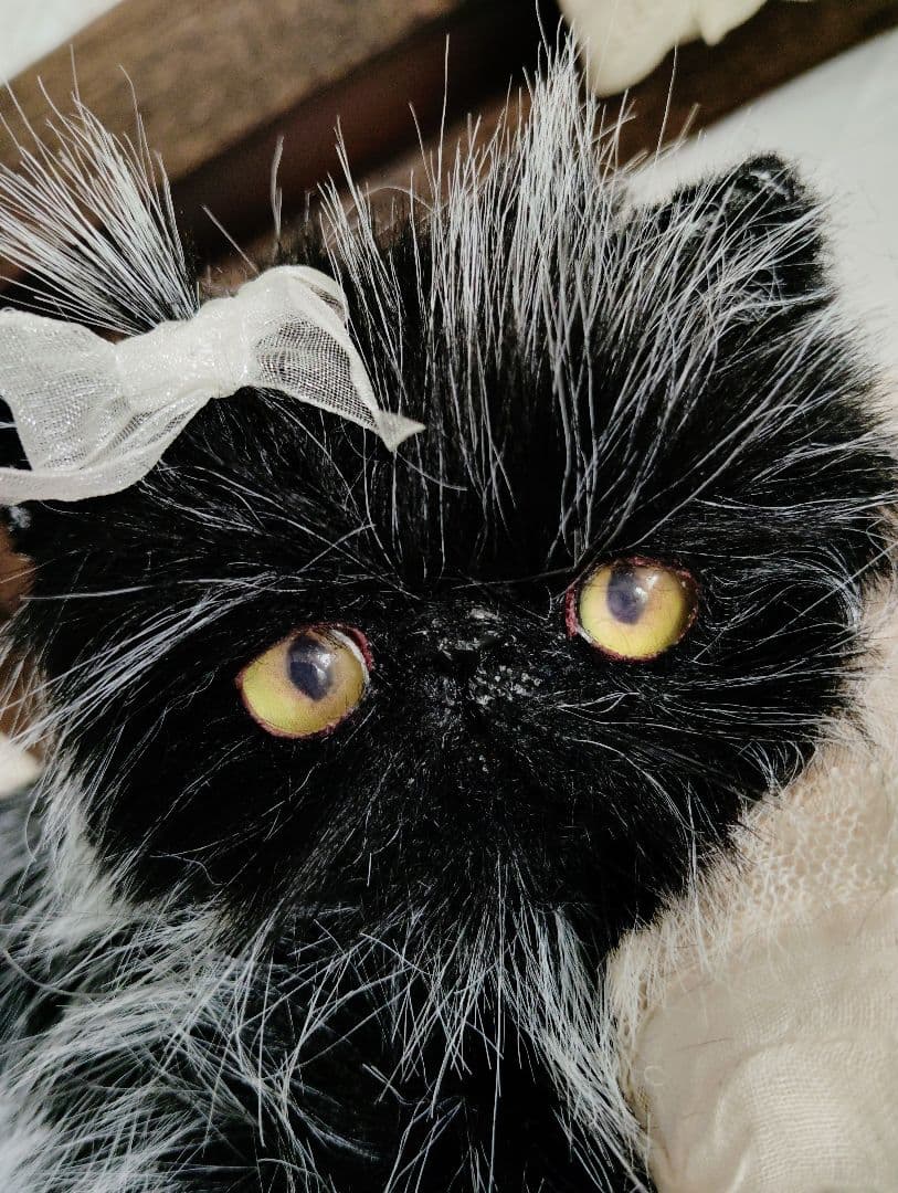 幼猫♡黒猫子猫ゴマちゃん♡アートドール♡ぬいぐるみ♡