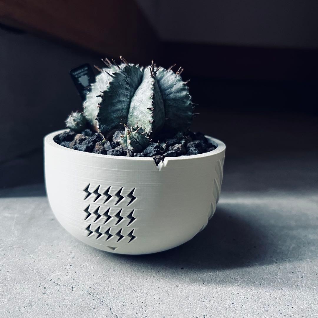 yoshiiiページ　セット売り