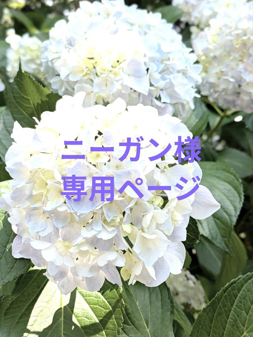 専用ページ★バドガシュタイン鉱石★約23μSv 約420g ★ホルミシス ①⑨