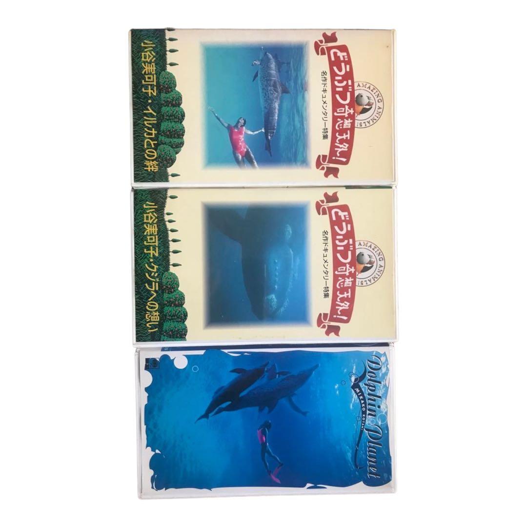 小谷実可子　ビデオセット