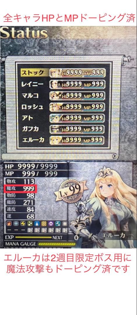 【最強やり込み‼️】ラジアントヒストリア パーフェクトクロノロジー