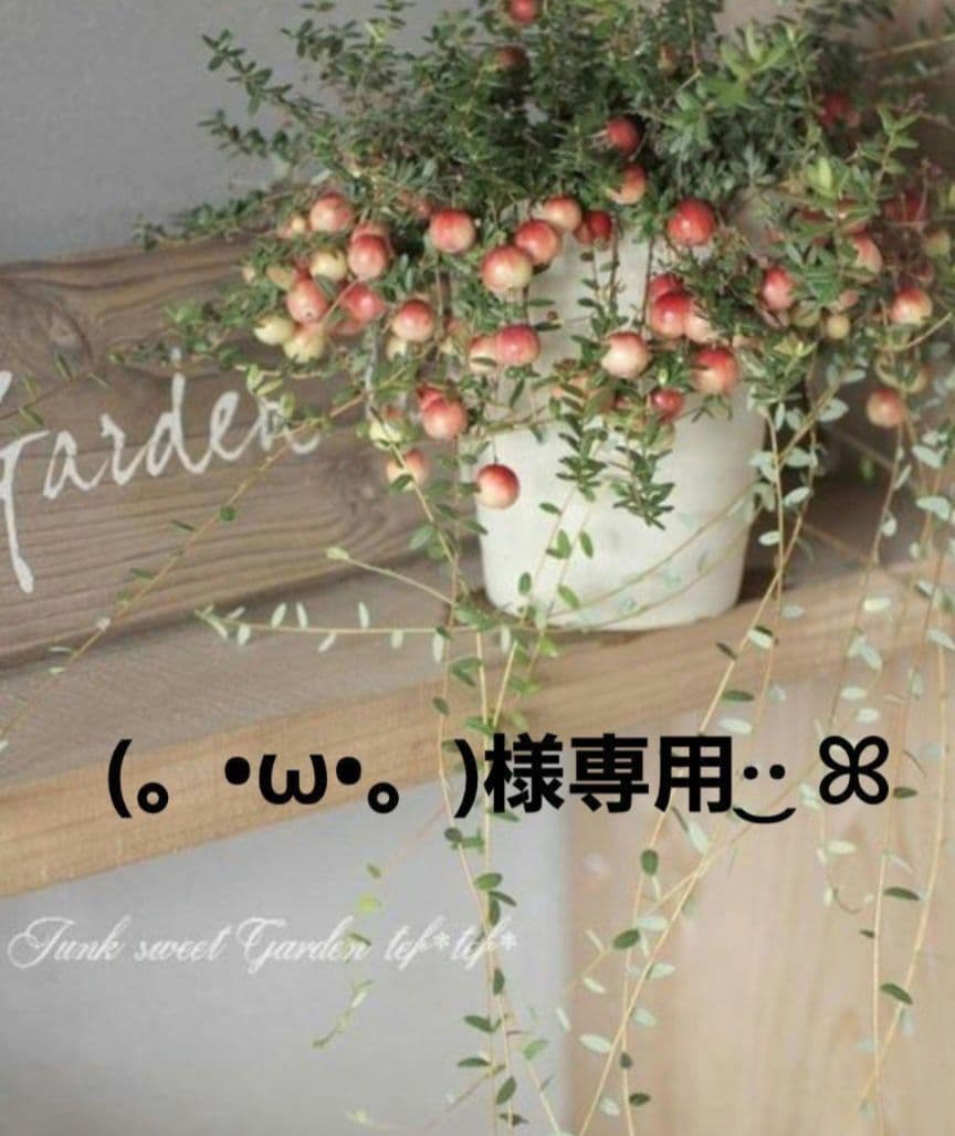 (。•ω•。)﻿ページ•*¨*•.¸♬︎