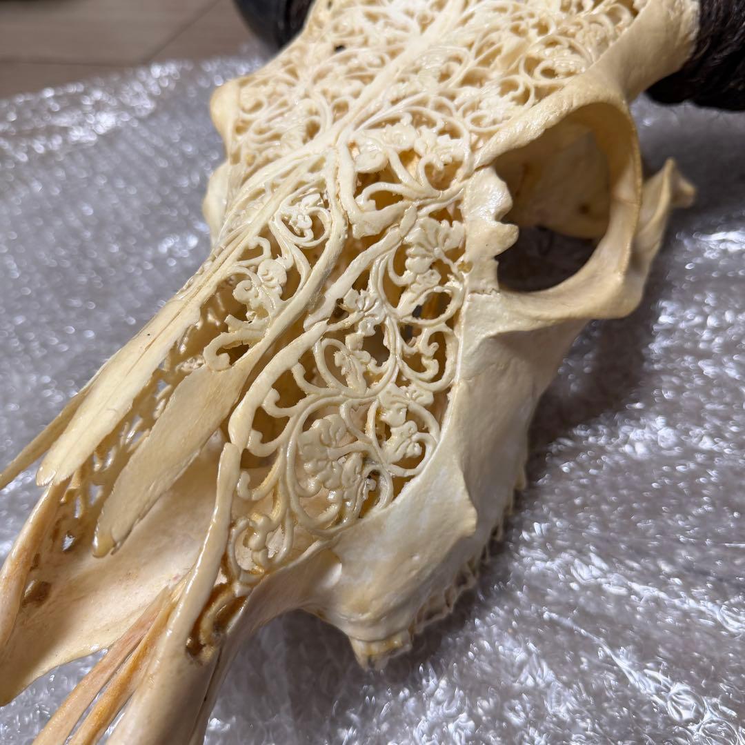 値下げしました！バッファロースカル　牛頭蓋骨　壁掛け彫像　カウボーイ　アメカジ