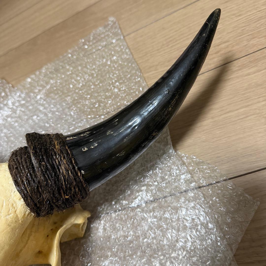 値下げしました！バッファロースカル　牛頭蓋骨　壁掛け彫像　カウボーイ　アメカジ