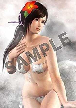 DEAD OR ALIVE5 LAST ROUND ps4 お風呂ポスター全8種