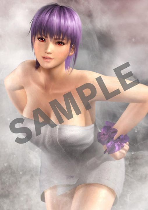 DEAD OR ALIVE5 LAST ROUND ps4 お風呂ポスター全8種