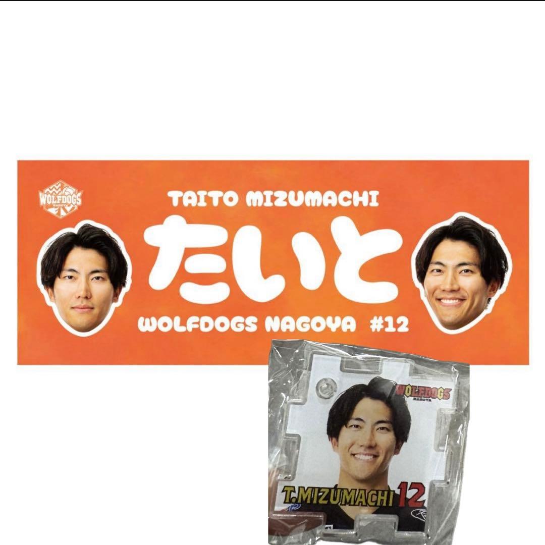 水町泰杜　ウルフドッグス名古屋　 #12 バレーボール