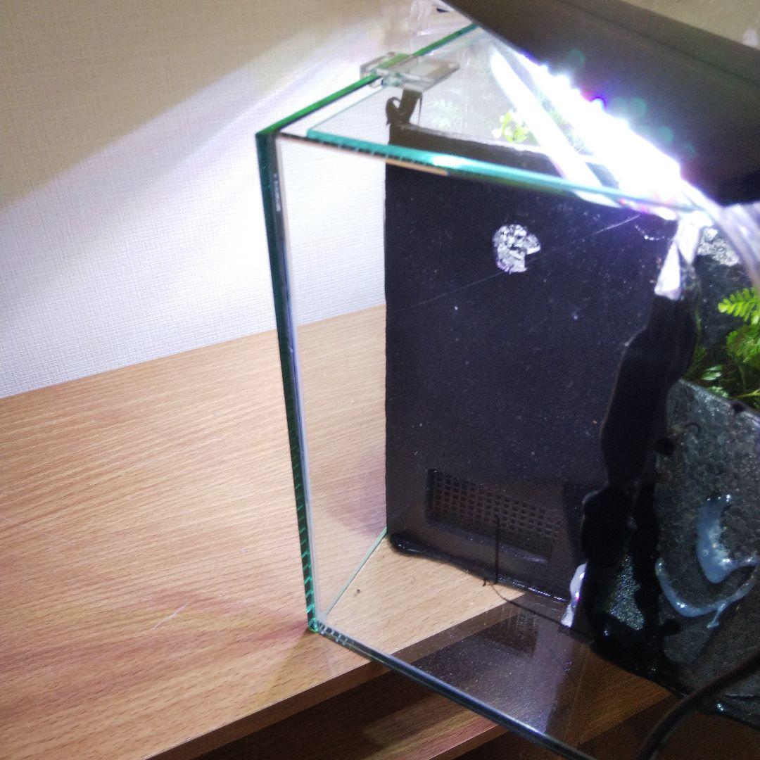 【受注生産】滝の流れるアクアテラリウム　イモリウム　苔　水槽　苔テラリウム